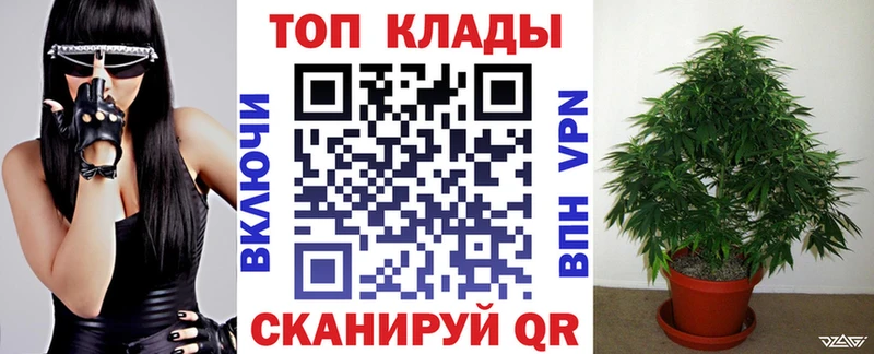 Наркошоп купить Канабис  Alpha PVP  Меф  Кокаин  Сланцы