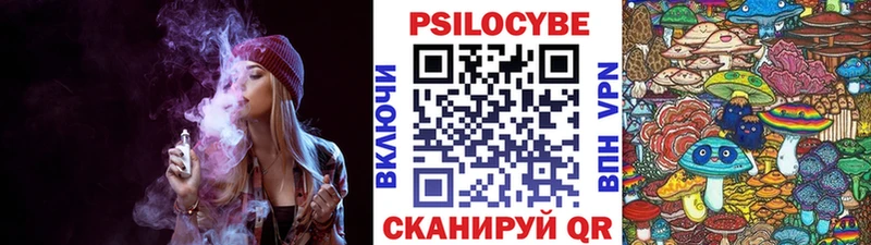Купить закладки  Сланцы  Псилоцибиновые грибы Cubensis 